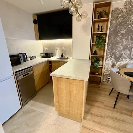Dk Panorama Apartament Olsztyn (Warmian-Masurian)